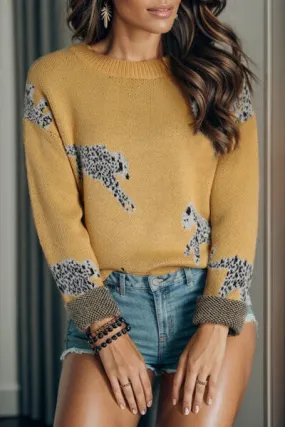 Soft Knit Sweaters