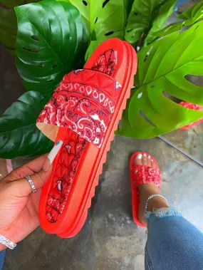 Slides