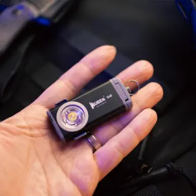 LED Adventure Straps