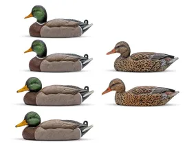 Insulated Duck Boots