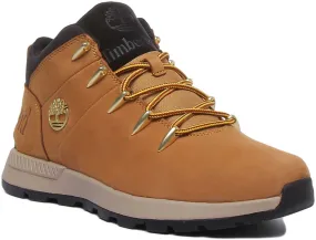Hiking Boots